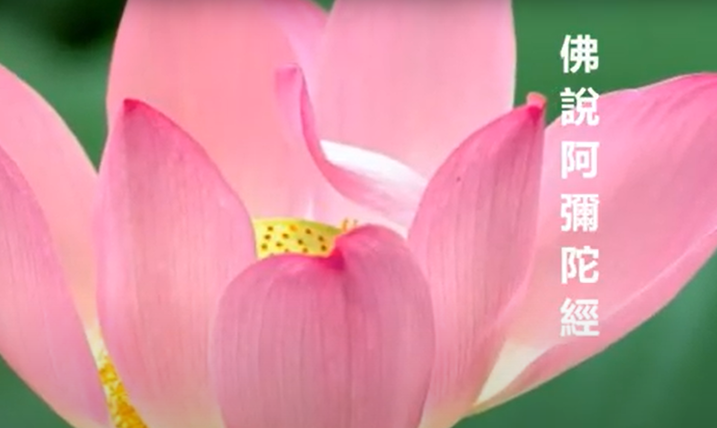 佛说阿弥陀经封面